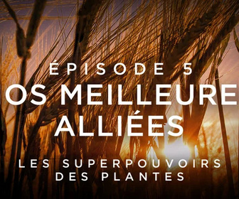 Replay Les superpouvoirs des plantes - 02/03/2026