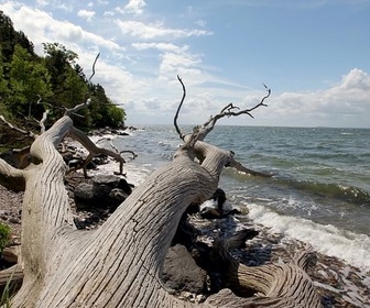 Replay Du Danemark à la Lettonie - Sur les rivages de la Baltique