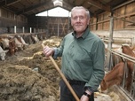 Replay Collectivisation et remembrement - Une histoire de l'agriculture