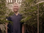 Replay République tchèque : le boom du cannabis - ARTE Regards