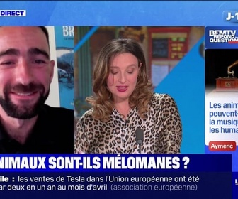 Replay Le Dej Info - Comment les chauffeurs de taxis réagissent-ils aux propos de François Bayrou ? - BFMTV répond à vos questions