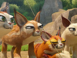 Replay Les as de la jungle à la rescousse - Le pot de colle