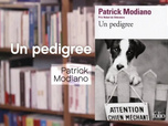 Replay La p'tite librairie - Un pedigree - Patrick Modiano