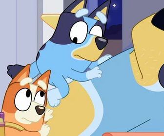 Replay Bluey - 29/11/2025