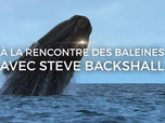 Replay A la rencontre des baleines avec Steve Backshall - 24/07/2026