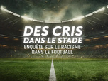 Replay Des cris dans le stade, enquête sur le racisme dans le football