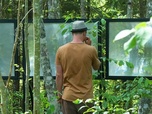 Replay Wild Bits : exposition tech-art en pleine nature