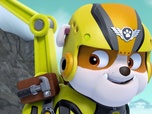 Replay Paw Patrol, la Pat'Patrouille - François et le bébé gorfou