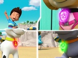 Replay Paw Patrol, la Pat'Patrouille - La Pat'Patrouille des Mers sauve un narval