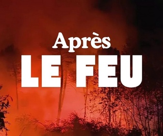 Replay La France en Vrai - Nouvelle-Aquitaine - Après le feu