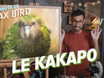 Replay La minute de Max Bird - Le Kakapo