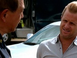 Replay Hawaii 5-0 - S2 E17 - Kupale