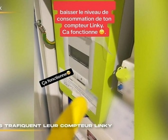 Replay 66 minutes : le doc - Immobilier : essayez avant d'acheter / Ils trafiquent leur compteur Linky / Des serpents dans ma maison