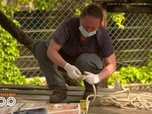 Replay Une saison au zoo - S13 E49