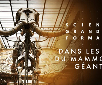 Science grand format replay