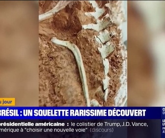 Replay L'image du jour - Brésil: des archéologues découvrent un squelette de dinosaure qui aurait 233 millions d'années