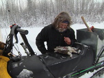 Replay Seuls face à l'Alaska - S4E7 - Parties de chasse