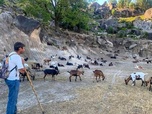 Replay Peneda-Gerês - Les parcs naturels portugais