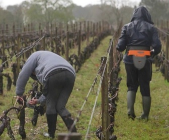 Replay C dans l'air - Agriculteurs, Mercosur, plans sociaux, l'hiver de la colère