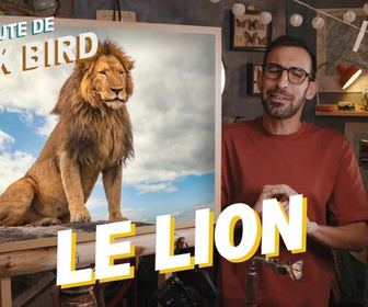Replay La minute de Max Bird - Le Lion