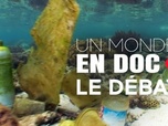 Replay Un monde en doc - Océans : Faire face à l'explosion de la pollution plastique