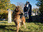 Replay Hudson et Rex