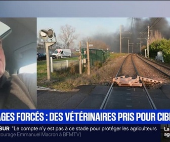 Apolline de 9 à 10 replay