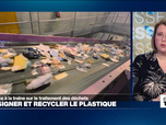 Replay Élément Terre, la quotidienne - Consigner les bouteilles en plastique: la France cherche à réduire ses déchets