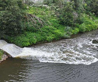 Replay Sécheresse : quel secteur consomme le plus d'eau en Europe ?