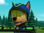 Replay Paw Patrol, la Pat'Patrouille - La machine chercheuse d'or