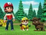 Replay Paw Patrol, la Pat'Patrouille - S07 - Le robot-serveur détraqué