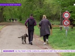 Replay On a de l'info - Tenir votre chien en laisse pour préserver la biodiversité