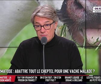Replay Les Grandes Gueules - Dermatose en Ariège : des heurts entre éleveurs et gendarmes… Faut-il abattre tout le troupeau pour une seule vache malade ?