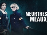 Replay S11 E4 - Meurtres à Meaux