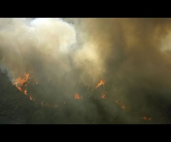 Replay Trois grands incendies au Portugal mobilisent des milliers de personnes