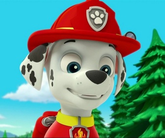 Replay Paw Patrol, la Pat'Patrouille - Alex le louveteau