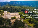 Replay Des Racines et Des Ailes - Terroirs d'excellence en Provence