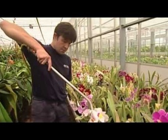 Replay Histoires d'îles - Jersey