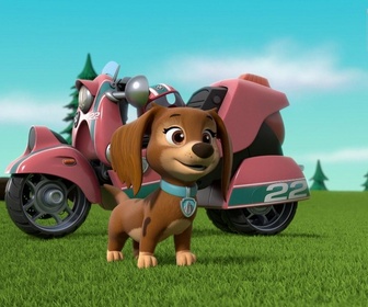 Replay Paw Patrol, la Pat'Patrouille - Liberty à la rescousse