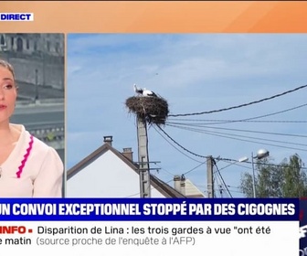 Replay L'image du jour - Un convoi exceptionnel a été bloqué en Alsace à cause d'un nid de cigognes