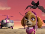 Replay Paw Patrol, la Pat'Patrouille - S04 E21 - La Fête avec les Chauves-Souris
