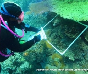 Replay Positive Outre-mer - Mayotte La formation pour lutter contre les micros plastiques