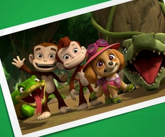 Replay Paw Patrol, la Pat'Patrouille - Attention, boules puantes !