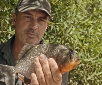 Replay Pêche XXL : derniers géants - Colosse amazonien