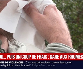 Replay BFM Première - Comment les variations de température favorisent la propagation de maladies