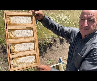 Replay À la rencontre de l'apiculteur qui perpétue trois générations de tradition familiale