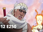 Replay Naruto Shippuden - S12 E250 - Le Monstre contre la Bête ! Une bataille au paradis !