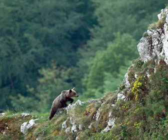 Replay Grandeurs Nature - 08/12/2025