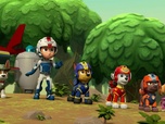 Replay Paw Patrol, la Pat'Patrouille - L'explorateur égaré