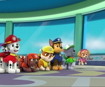 Replay Paw Patrol, la Pat'Patrouille - La baleine blanche